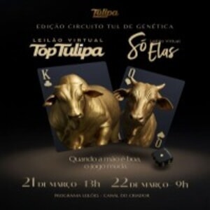 Leilão Virtual Top Tulipa