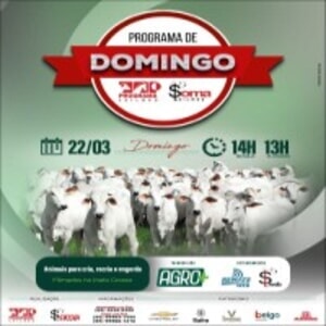 146º Programa de Domingo - Programa e Soma Leilões