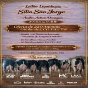 Leilão Virtual Liquidação Sítio São Jorge