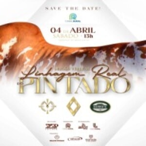 Leilão Virtual Linhagem Real do Pintado