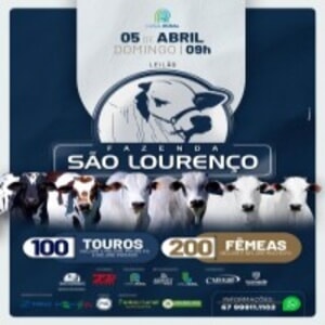 Leilão Virtual Fazenda São Lourenço