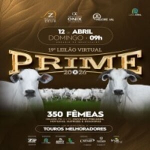 19º Leilão Virtual Prime 2026