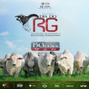 Leilão Virtual Dia do RG - Etapa Touros