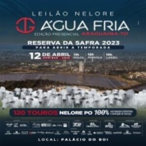 Leilão Nelore Água Fria - Touros Nelore PO