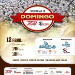 148° Programa de Domingo - Programa e Soma Leilões