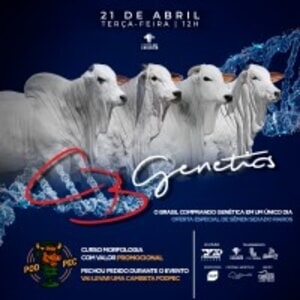 Leilão Virtual CB Genetics