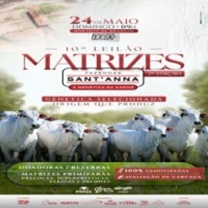 10º Leiilão Matrizes Sant'Anna