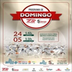 153° Programa de Domingo - Programa e Soma Leilões