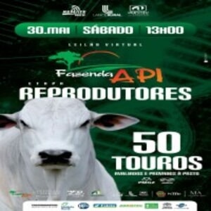 Leilão Fazenda API - Etapa Reprodutores