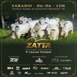 9º Leilão Touros Zatta Nelore Premium
