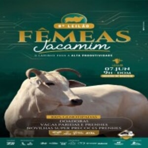 8º Leilão Virtual Fêmeas Jacamim