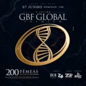 Leilão Virtual GBF Global Premium