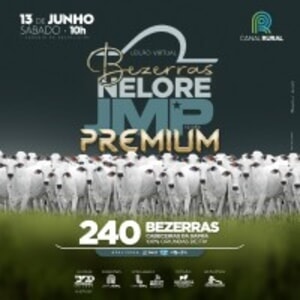 Leilão Virtual Bezerras Nelore JMP Edição Premium