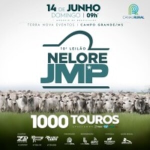 10º Leilão Nelore JMP - Touros
