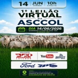 1° Leilão Virtual da ASCCOL