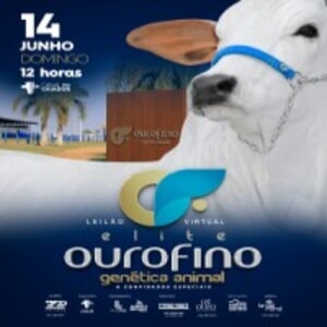 Leilão Virtual Elite OuroFino Genética Animal & Convidados