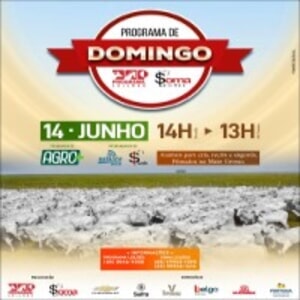 155° Programa de Domingo - Programa e Soma Leilões
