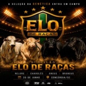 9º Leilão Elo de Raças