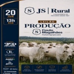 Leilão Produção - Couto Magalhães Pastoril Agropecuária