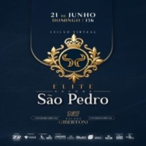 Leilão Virtual Elite Nelore São Pedro