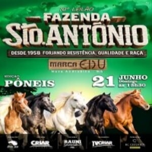 10º Leilão Fazenda Santo Antonio - Pôneis