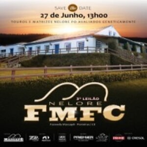 3° Leilão Nelore FMFC