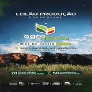 Leilão Produção Presencial Agroottoni