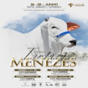 4º Leilão Irmãos Menezes - Etapas Essência e Melhoradores