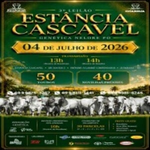 3º Leilão Estância Cascavel