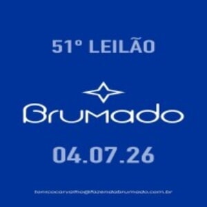 51º Leilão Virtual Nelore Brumado