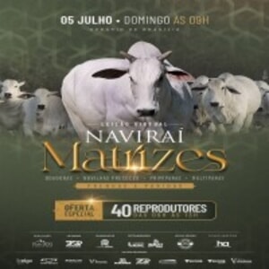 Leilão Virtual Naviraí - Matrizes