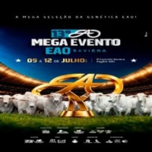 13° Mega Evento EAO Baviera - Touros