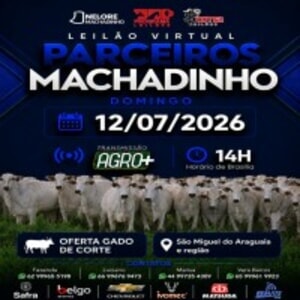 Leilão Virtual Parceiros Machadinho