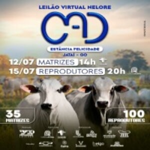 Leilão Nelore CAD - Etapa Fêmas