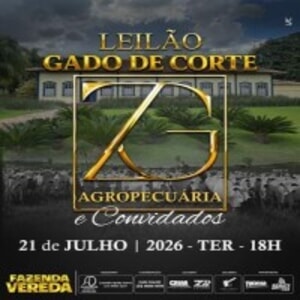 Leilão ZG Agropecuária