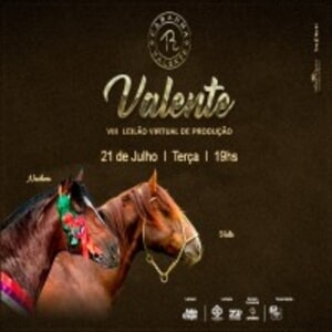 VIII Leilão Virtual de Produção - Cabanha Valente