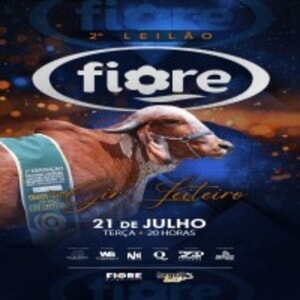 2º Leilão Gir Leiteiro Fiore