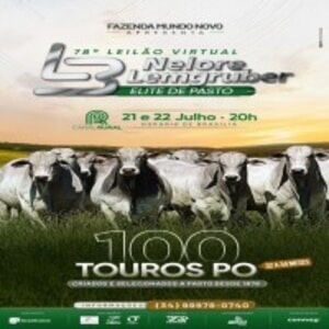 78° Leilão Virtual Lemgruber - Elite de Pasto