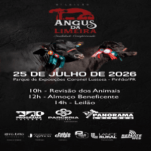 6º Leilão Angus da Limeira