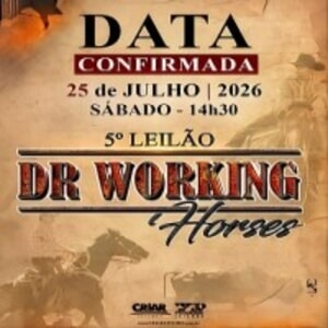 5° Dr. Working Horses