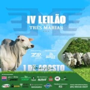 IV Leilão Fazendas Três Marias