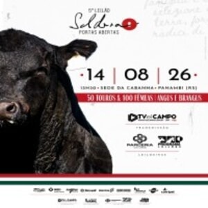 5° Leilão Soldera Portas Abertas