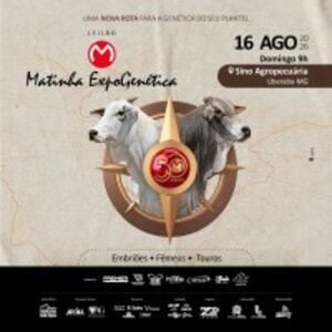 Leilão Matinha Expogenética 2026 - Embriões, Fêmeas e Touros
