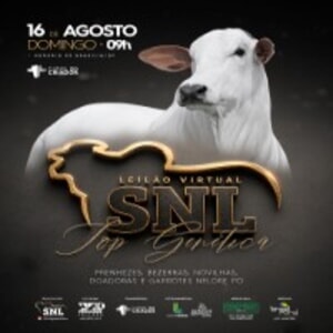 Leilão Virtual SNL Top Genética