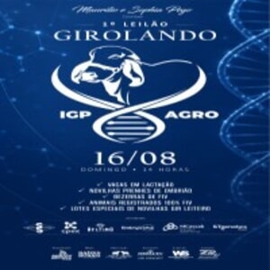 1º Leilão Girolando IGP Agro