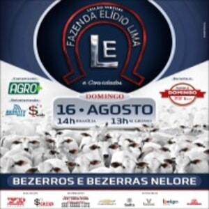 Leilão Virtual Fazenda Elidio Lima 161° Programa de Domingo