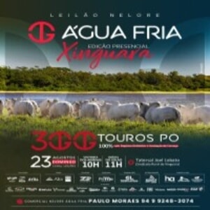 Leilão Água Fria - Edição Xinguara