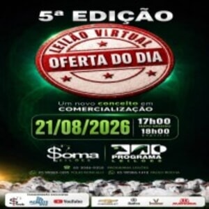 5º Leilão Virtual Oferta Do Dia