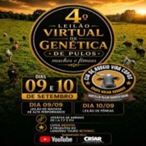 4º Leilão Virtual de Genética de Pulos