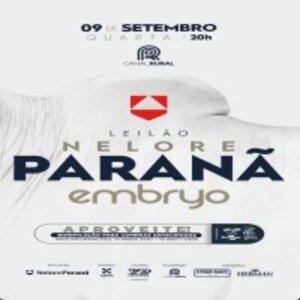 Leilão Nelore Paranã Embryo